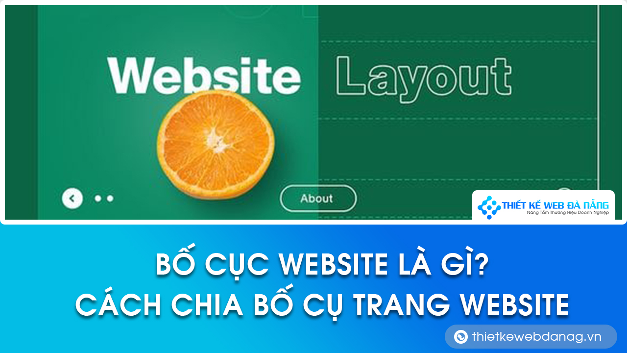 bố cục website